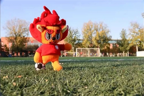 5a3e535cfe1840e491a8e7dbecd79561.jpg 640.jpg