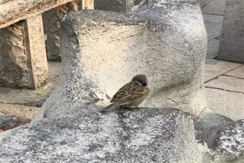 f026de5e30ee4ea681fdc355711d2f98.jpg 64011.jpg